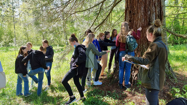 Schülerinnen stehen an einem Mammutbaum im Arboretum
