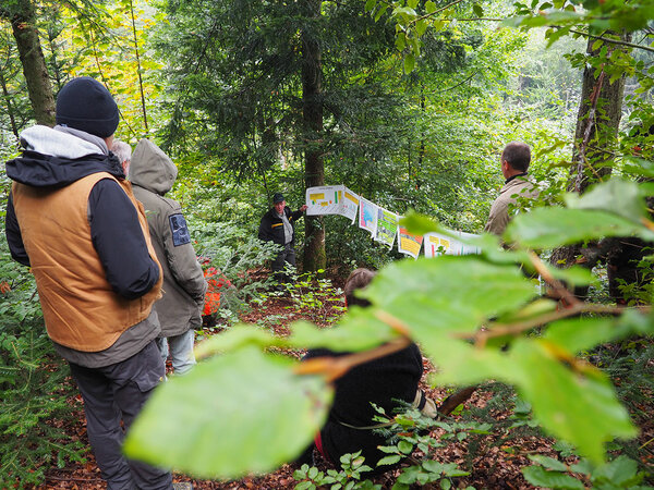 Studierende stehen im Wald und hören einem Referenten zu