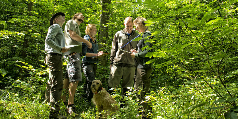 Eine Gruppe Studierende bei einer praktischen Waldbauübung im Lehrwald der Hochschule Rottenburg