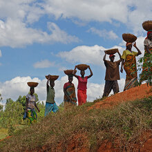Kaffee Ernte in Burundi. Frauen und Männer tragen Körbe auf dem Kopf