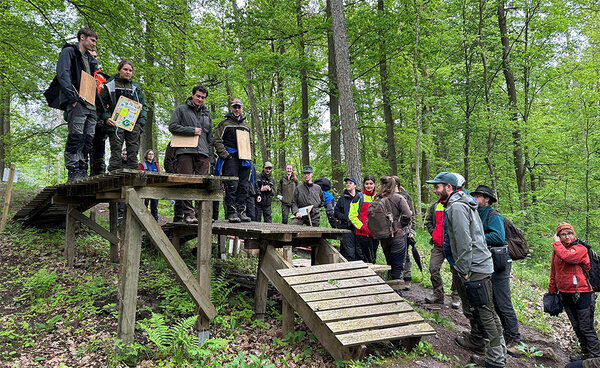Studierende stehen auf und neben einer Sprungrampe im Wald