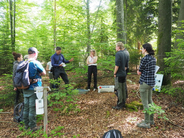 Prof. Schäffer steht mit Studierenden im Wald