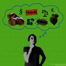 Eine Studentin denkt (Denkblase) an die Studieninhalte: Holz, Käfer, §, Euro, Moose und vieles mehr