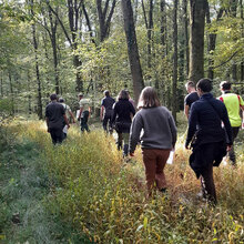 Studierende laufen durch einen Laubwald
