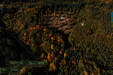Screenshot der Webanwendung "Digitaler Wald" 