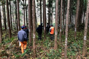 Gruppe von Forstexperten in einem Versuchs- und Forschungswald