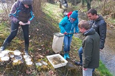 Studierende untersuchen Wasserproben beim Methodenkurs. Katzenbach Bad Niedernau
