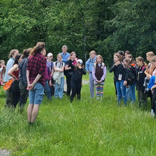 Schüler stehen auf einer Waldwiese und hören den Studierenden zu