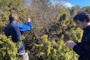 Abb. 2: Wissenschaftler bei der Raupensuche im Spil Nationalpark