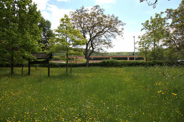 Blick vom Arboretum auf den Kienzle-Bau
