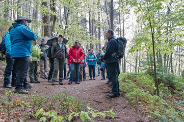 Gruppe im Wald: Foto von KTG Bad Peterstal-Griesbach