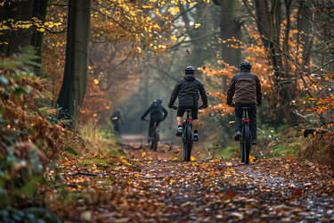 Eine Gruppe Mountainbiker fahren durch den herbstlichen Wald