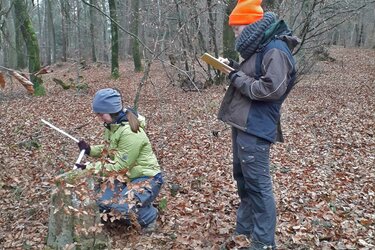 Forststudentinnen bei der Aufnahme historischer Grenzsteine