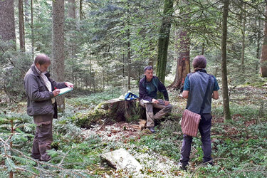 Zwei Prüfer befragen einen Prüfling im Wald