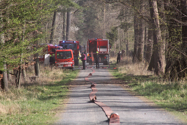 Waldbrandübung: ein Feuerwehrschlauch liegt auf einem Waldweg, im Hintergrund stehen Feuerwehrautos im Wald