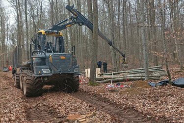 Forwarder im Wald