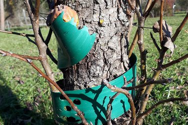 Plastik an einem Baum