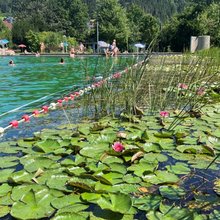 Blick auf das Naturerlebnisbad