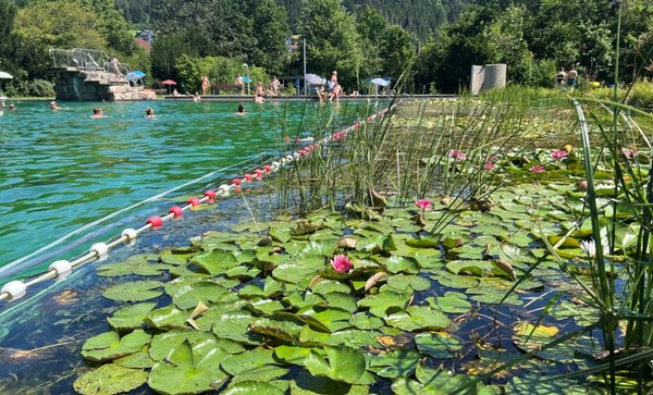 Blick auf das Naturerlebnisbad