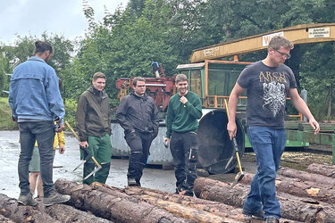 Studierende teilen auf dem Rundholzplatz Stammholz ein