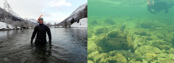 Ein Taucher steht im Winter in einem Fluss. Ein Taucher unter Wasser.