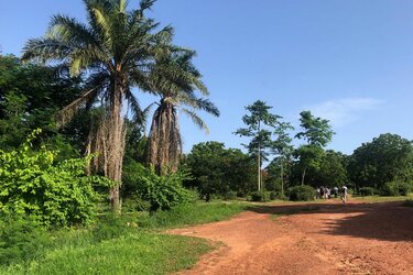 Blick in den Botanischen Garten der University of Ghana