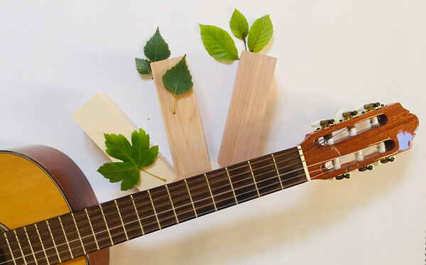 Liegende Gitarre mit drei verschiedenen Holzklötzen mit den jeweils dazgehörigen Blättern (Ahorn, Birke und Buche)