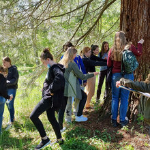 Schülerinnen stehen an einem Mammutbaum im Arboretum