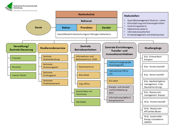 Auf den Hochschulrat folgt das Rektorat. Das Rektorat setzt sich aus dem Rektor, Prorektor, Kanzler und Mitarbeiter*innen zusammen. Daneben gibt es den Senat und die Stabstellen. Die Stabstellen sind die das Qualitätsmanagement Studium + Lehre, Gleichstellung und Chancengleichheit, Controlling (extern), Datenschutz (extern), Informationssicherheit, Klimamanagement und Arbeitsschutz. Unter dem Rektorat folgt die Verwaltung/Zentrale Steuerung, daneben der Studierendenservice, die zentralen Betriebseinheiten, Zentrale Einrichtungen, Transfer- und Innovationsinitiativen und die Studiengänge.