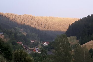 Blick auf ein Dorf in einem bewaldeten Tal