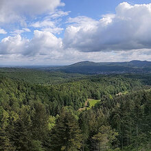 Blick auf eine von Wald und Bergen geprägte Landschaft: Aussicht vom Verbrannten Felsen im Nordschwarzwald