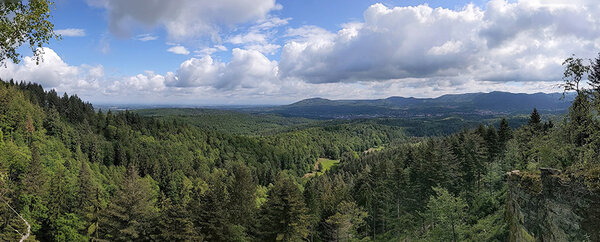 Blick auf eine von Wald und Bergen geprägte Landschaft: Aussicht vom Verbrannten Felsen im Nordschwarzwald
