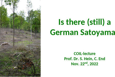 Screenshot der einer Präsentationsfolie: Is there (still) a German Satoyama?