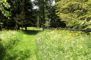 Blick in das Arboretum der Hochschule Rottenburg