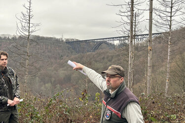 Die Müngstener Brücke führt über das bewaldete Tal der Wupper – bald Weltkulturerbe?