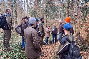 Studierende stehen als Gruppe im Wald und hören dem Referenten zu