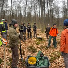 Pflanzübung im Wald
