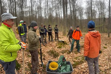 Pflanzübung im Wald
