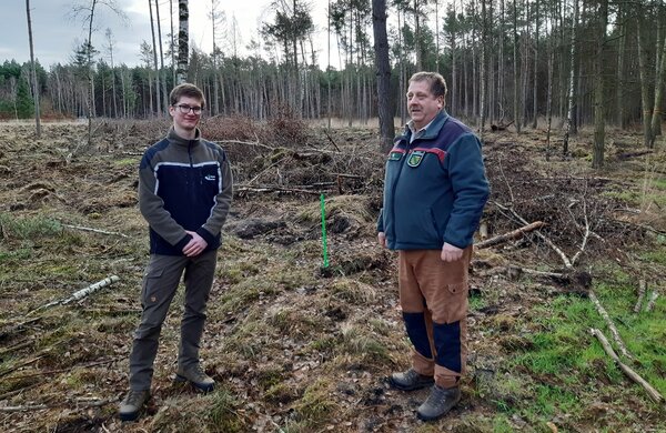 Student Robert Rieschick stellt zusammen mit dem Leiter des Reviers Jagdhaus im Forstbezirk Taura, Jens Ehmisch, auf einer Kalamitätsfläche eine von ihm geplante und geleitete Wiederaufforstung mit Eiche, Buche und Linde vor.