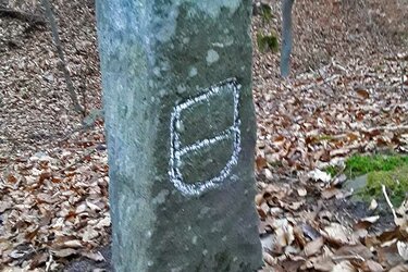 Grenzstein im Wald