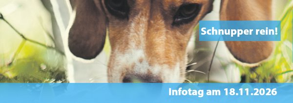 Schnupper rein - Infotag 18.11.2026