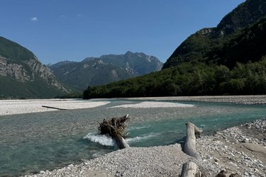 Gebirgsfluss. Im Hintergrund Berge