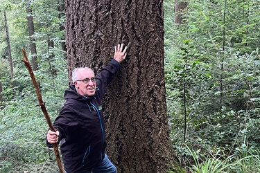 Prof. Dimas Agostinho (UFPR), Dauerwaldkonzept im Bergmischwald des Stadtwald Freiburg