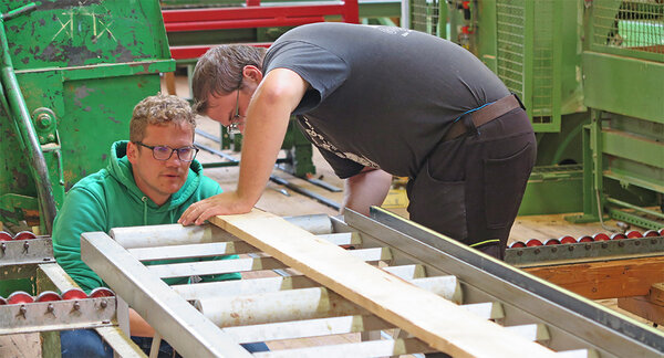 Studierende begutachten Schnittholz