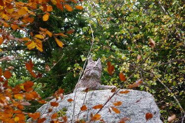 Katze als Steinskulptur