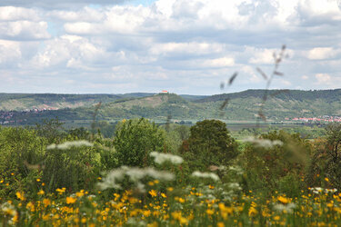 Blick zur Wurmlinger Kapelle