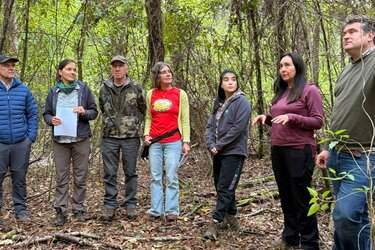 Referentin und Workshop-Teilnehmer stehen im Wald
