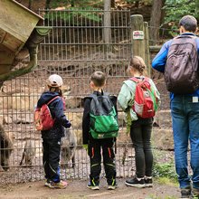 Teilnehmer stehen am Wildschwein-Gatter