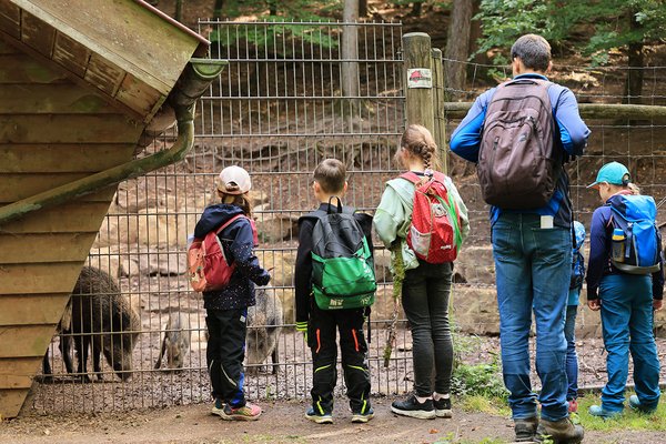 Teilnehmer stehen am Wildschwein-Gatter
