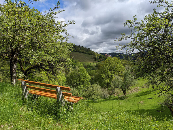 Blick in ein schönes Tal. Am Wegesrand steht eine Bank.